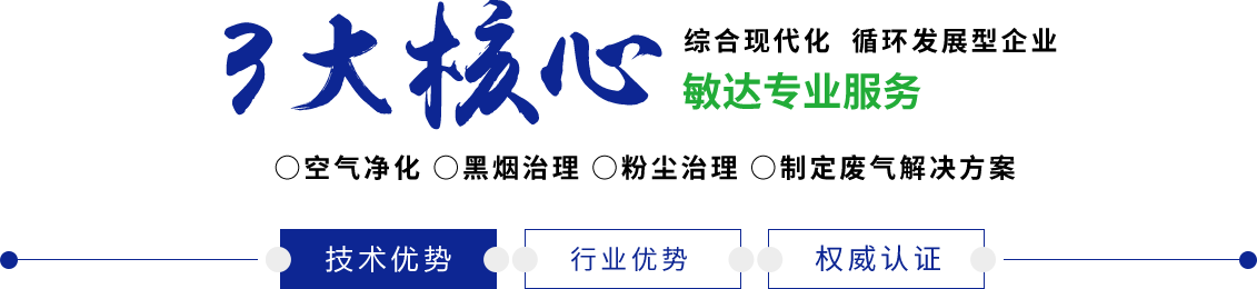 哪里可以看爱爱小视频敏达环保科技（嘉兴）有限公司